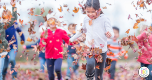 Get ready for fall by learning about some fun activities that elementary school classrooms can do during the autumn season.