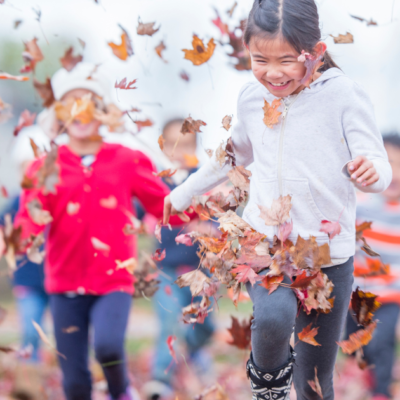 3 New and Fun Fall Activities for Primary Classrooms