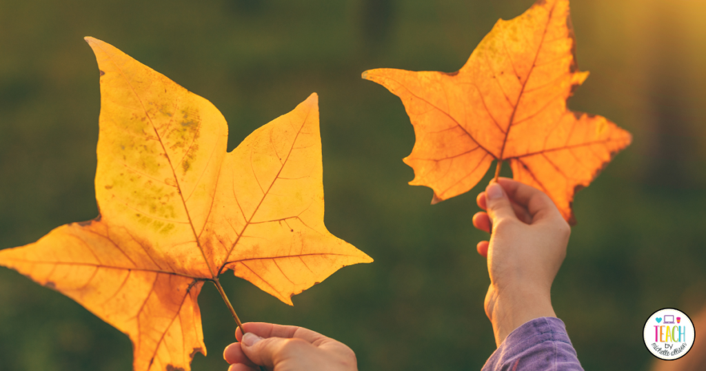 Get ready for fall by learning about some fun activities that elementary school classrooms can do during the season.