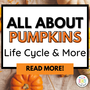 Edit Post Site Icon Edit with Elementor 5 Pumpkin Activities for the Classroom: Explore the Pumpkin Life Cycle with a Fun Pumpkin Book · Post Ctrl+K 89 / 100 Free0 / 100 Save Change block type or style Block Image is at the beginning of the content and can’t be moved up Move Image block from position 1 down to position 2 Change alignment Replace Meta Boxes Use up and down arrow keys to resize the meta box pane. Post Block 5 Pumpkin Activities for the Classroom: Explore the Pumpkin Life Cycle with a Fun Pumpkin Book Current image: Pumpkin activities for kindergarten and first grade featuring pumpkin vocabulary cards, pumpkin life cycle anchor charts, and printable science activities. Replace Remove Add an excerpt… 1,039 words, 5 minutes read time. Last edited 4 hours ago. Status Scheduled Publish October 1 11:07 am Slug pumpkin-activities Author Michelle Template Default template Discussion Open Revisions 4 Lock Modified Date Move to trash Categories Literacy Math Seasonal Activities Teacher Life Add Category Tags Add Tag october (1 of 3)october pumpkins (2 of 3)pumpkins Seasonal Activities (3 of 3)Seasonal Activities Separate with commas or the Enter key. Most Used Seasonal ActivitiesmathBack to SchoolcentersFebruaryValentine's DayliteracyphonicsspringSt. Patrick's Day Toggle panel: Link Suggestions 5 Exciting Subitizing Games Your Students Will Beg to Play! Open publish panel Post Image Select Files Close dialog Featured image Upload filesMedia Library Filter media Filter by type Images Filter by date All dates Search media Media list Showing 81 of 844 media items Load more Attachment Details pumpkin-life-cycle-activities.webp July 10, 2026 752 KB 1000 by 1500 pixels Edit Image Delete permanently ShortPixel Invalid API Key. Check your Settings Alt Text Pumpkin Activities for Kindergarten Invalid API Key. Check your SettingsGenerate Alt Learn how to describe the purpose of the image(opens in a new tab). Leave empty if the image is purely decorative.Title All About Pumpkins for Kindergarten Caption Introduce pumpkin science with engaging vocabulary and classroom visuals. Description All About Pumpkins classroom display featuring pumpkin vocabulary, pumpkin parts, and fall science activities for kindergarten and first grade classrooms. File URL: https://teachbymichelleallison.com/wp-content/uploads/2026/07/pumpkin-life-cycle-activities.webp Copy URL to clipboard Required fields are marked * Exclude this attachment from sitemap Regenerate Thumbnails Selected media actionsSet featured image No file chosen