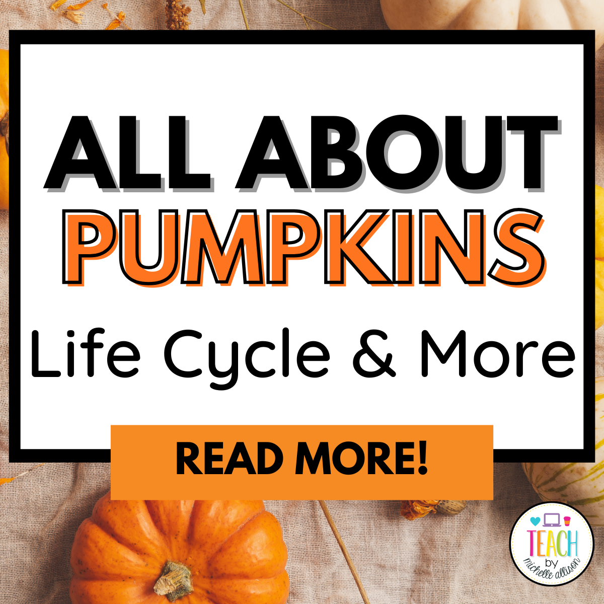 5 Pumpkin Activities for the Classroom: Explore the Pumpkin Life Cycle with a Fun Pumpkin Book
