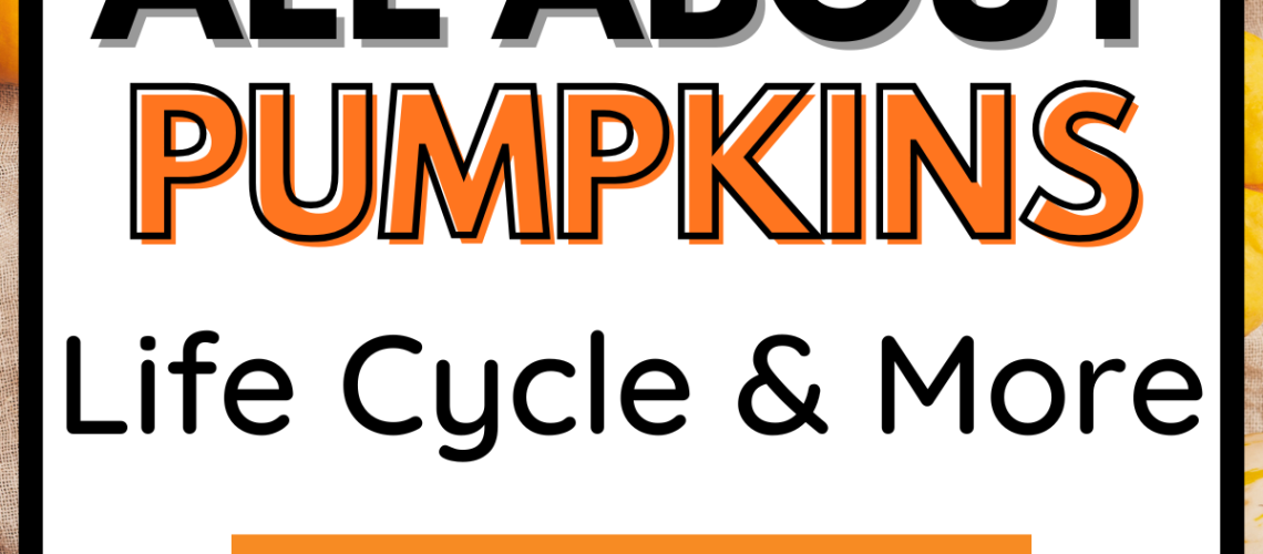 Edit Post Site Icon Edit with Elementor 5 Pumpkin Activities for the Classroom: Explore the Pumpkin Life Cycle with a Fun Pumpkin Book · Post Ctrl+K 89 / 100 Free0 / 100 Save Change block type or style Block Image is at the beginning of the content and can’t be moved up Move Image block from position 1 down to position 2 Change alignment Replace Meta Boxes Use up and down arrow keys to resize the meta box pane. Post Block 5 Pumpkin Activities for the Classroom: Explore the Pumpkin Life Cycle with a Fun Pumpkin Book Current image: Pumpkin activities for kindergarten and first grade featuring pumpkin vocabulary cards, pumpkin life cycle anchor charts, and printable science activities. Replace Remove Add an excerpt… 1,039 words, 5 minutes read time. Last edited 4 hours ago. Status Scheduled Publish October 1 11:07 am Slug pumpkin-activities Author Michelle Template Default template Discussion Open Revisions 4 Lock Modified Date Move to trash Categories Literacy Math Seasonal Activities Teacher Life Add Category Tags Add Tag october (1 of 3)october pumpkins (2 of 3)pumpkins Seasonal Activities (3 of 3)Seasonal Activities Separate with commas or the Enter key. Most Used Seasonal ActivitiesmathBack to SchoolcentersFebruaryValentine's DayliteracyphonicsspringSt. Patrick's Day Toggle panel: Link Suggestions 5 Exciting Subitizing Games Your Students Will Beg to Play! Open publish panel Post Image Select Files Close dialog Featured image Upload filesMedia Library Filter media Filter by type Images Filter by date All dates Search media Media list Showing 81 of 844 media items Load more Attachment Details pumpkin-life-cycle-activities.webp July 10, 2026 752 KB 1000 by 1500 pixels Edit Image Delete permanently ShortPixel Invalid API Key. Check your Settings Alt Text Pumpkin Activities for Kindergarten Invalid API Key. Check your SettingsGenerate Alt Learn how to describe the purpose of the image(opens in a new tab). Leave empty if the image is purely decorative.Title All About Pumpkins for Kindergarten Caption Introduce pumpkin science with engaging vocabulary and classroom visuals. Description All About Pumpkins classroom display featuring pumpkin vocabulary, pumpkin parts, and fall science activities for kindergarten and first grade classrooms. File URL: https://teachbymichelleallison.com/wp-content/uploads/2026/07/pumpkin-life-cycle-activities.webp Copy URL to clipboard Required fields are marked * Exclude this attachment from sitemap Regenerate Thumbnails Selected media actionsSet featured image No file chosen